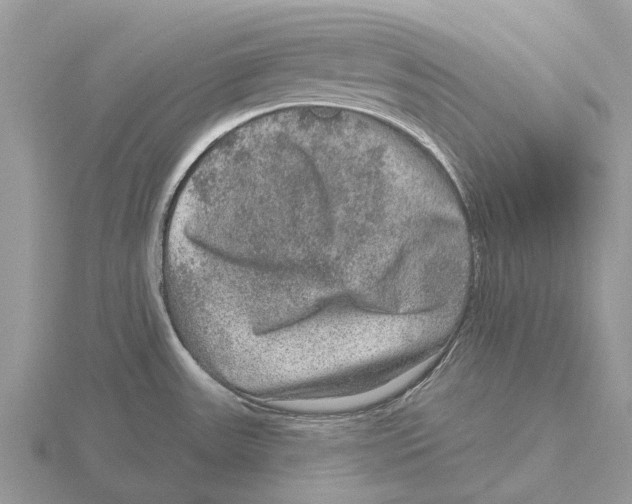 X0000115671531200912101101