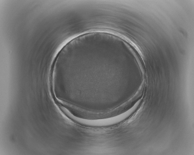 X0000115671533200912101101