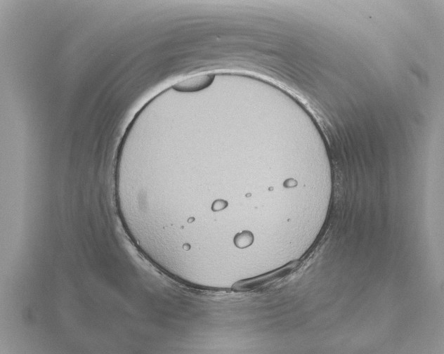 X0000115671534200912101101