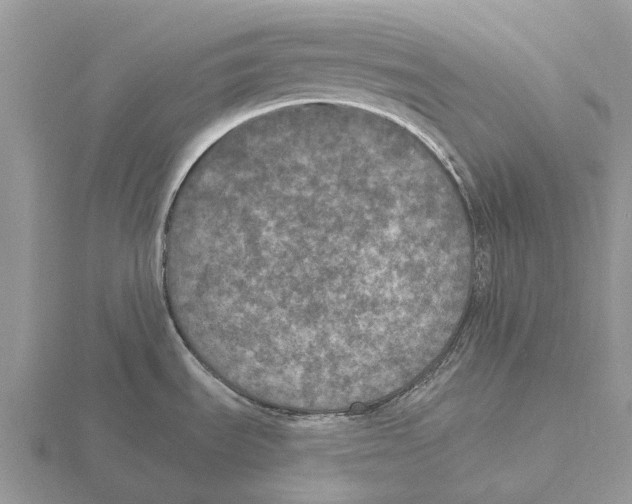 X0000115671535200912101101