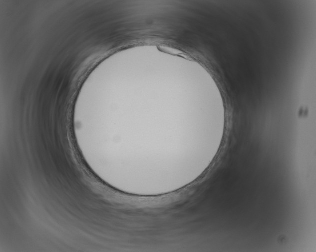 X0000115670001200912241429