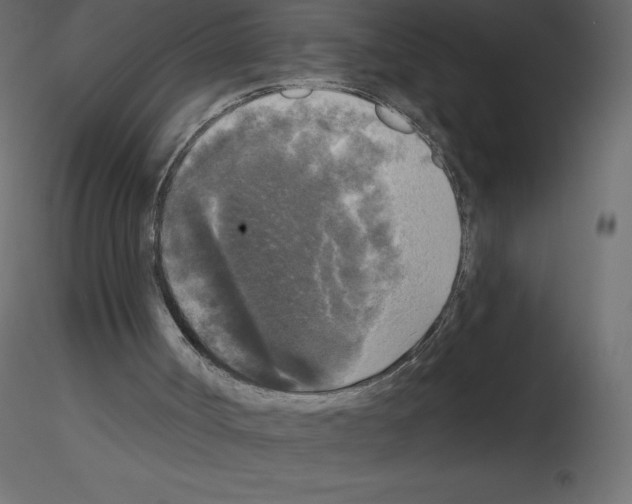 X0000115670002200912241429