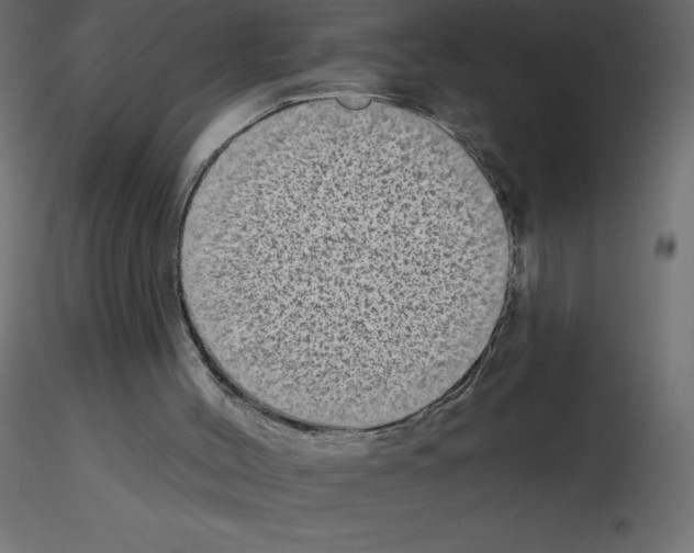 X0000115670004200912241429