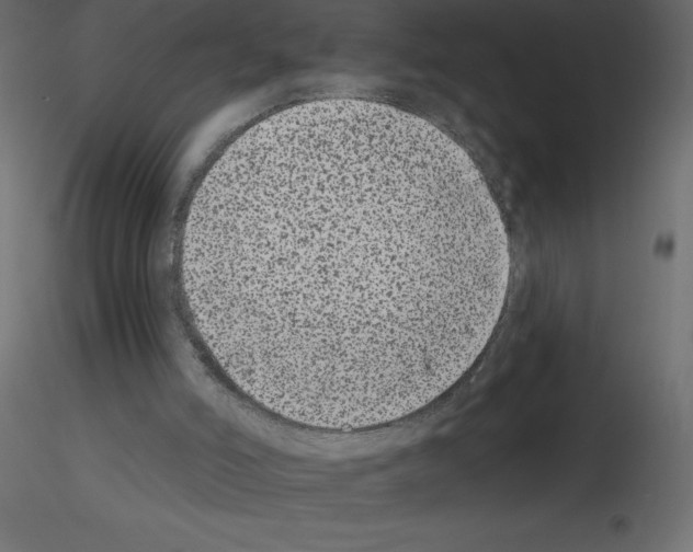 X0000115670006200912241429