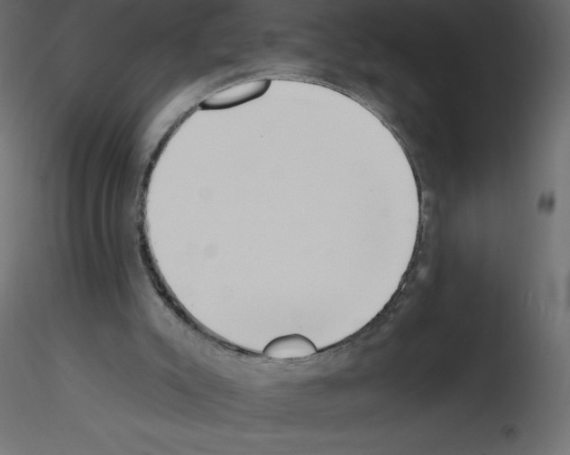 X0000115670007200912241429