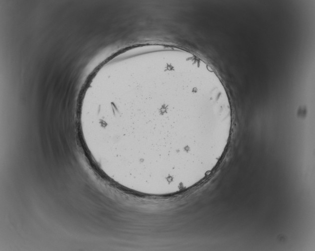 X0000115670008200912241429