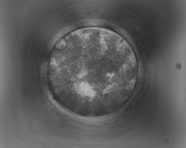 X0000115670010200912241429