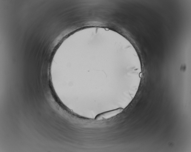 X0000115670011200912241429