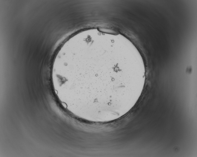 X0000115670012200912241429