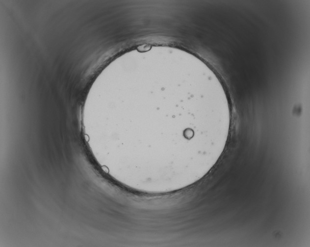 X0000115670013200912241429