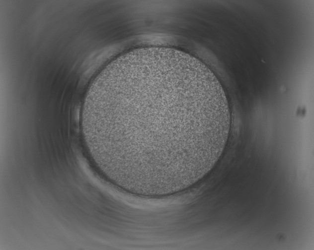 X0000115670014200912241429