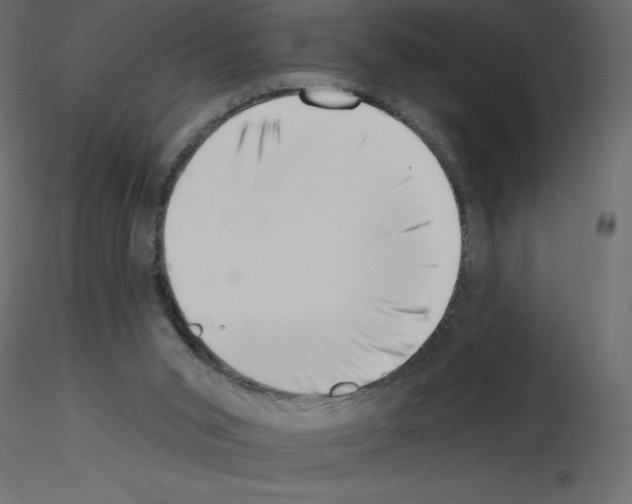 X0000115670015200912241429