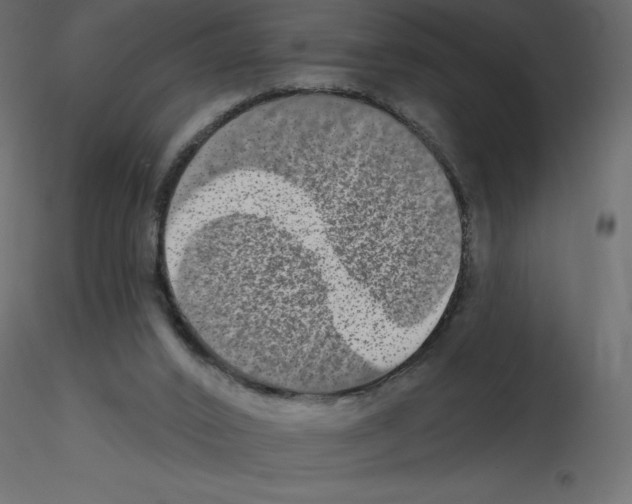 X0000115670016200912241429