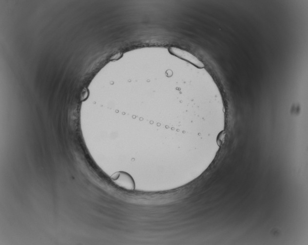 X0000115670017200912241429