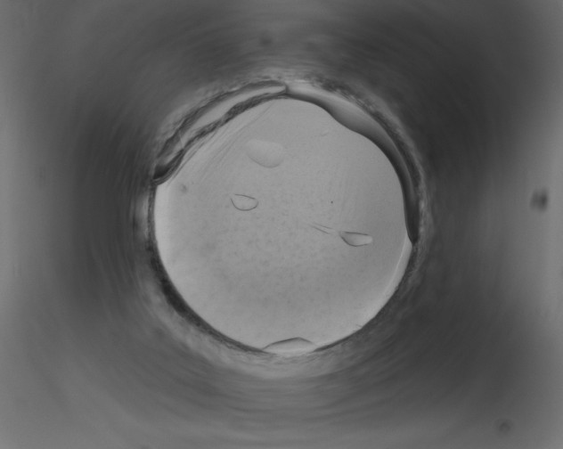 X0000115670019200912241429