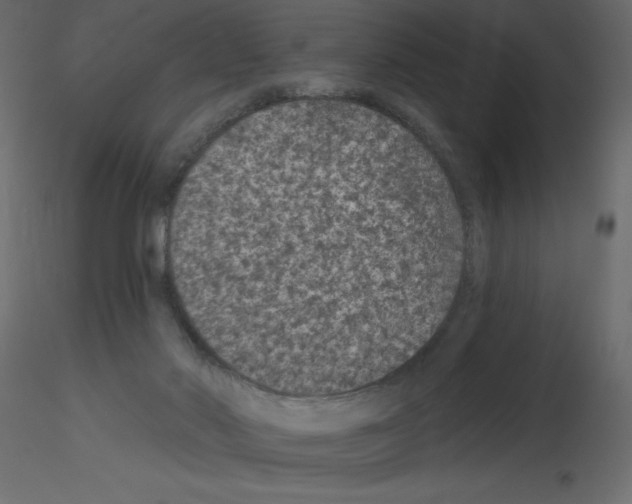 X0000115670022200912241429