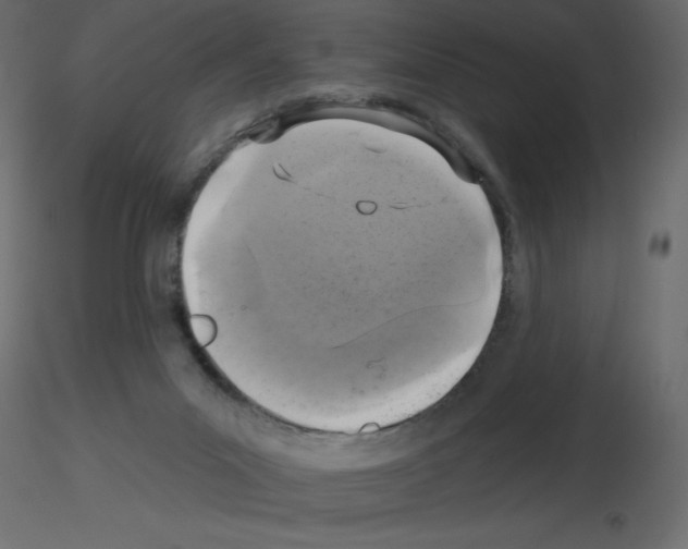 X0000115670023200912241429