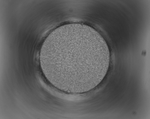 X0000115670024200912241429