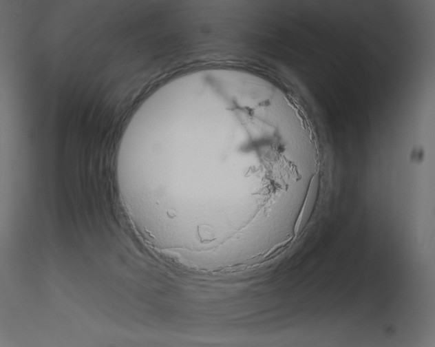 X0000115670025200912241429