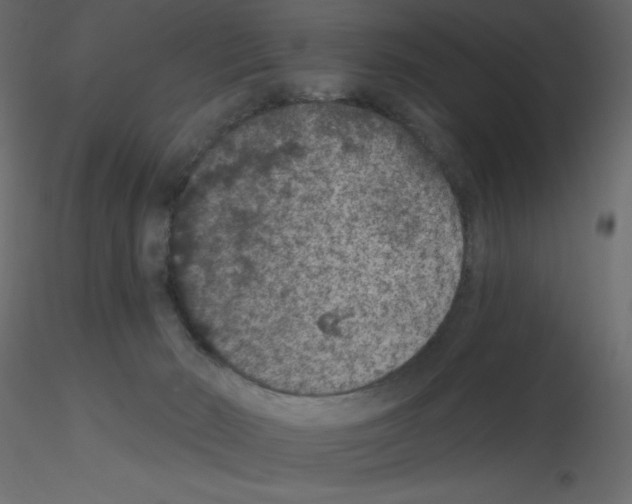 X0000115670030200912241429