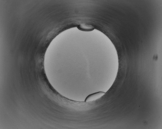 X0000115670031200912241429