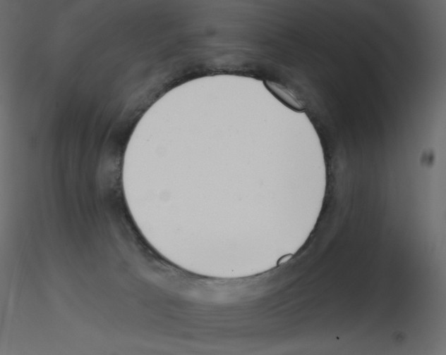 X0000115670033200912241429