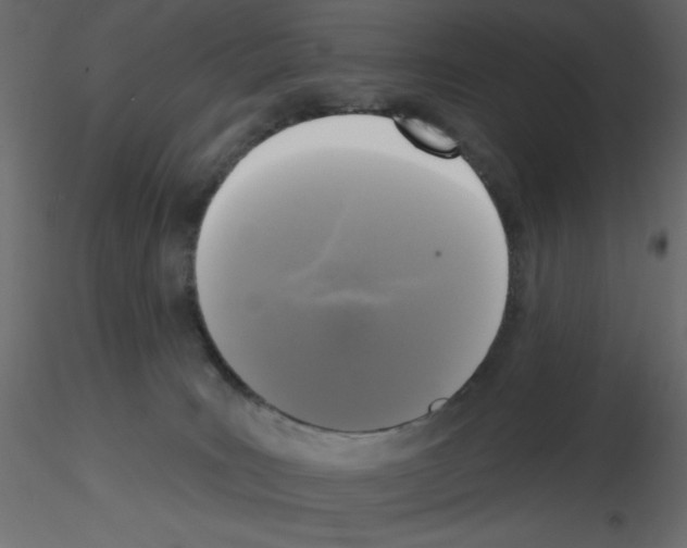 X0000115670035200912241429