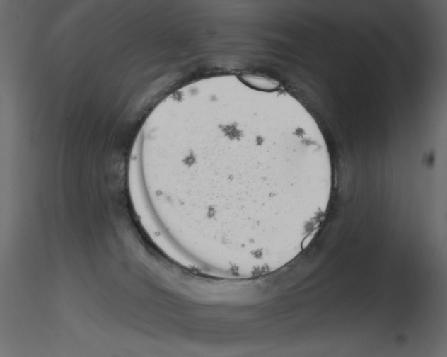 X0000115670036200912241429