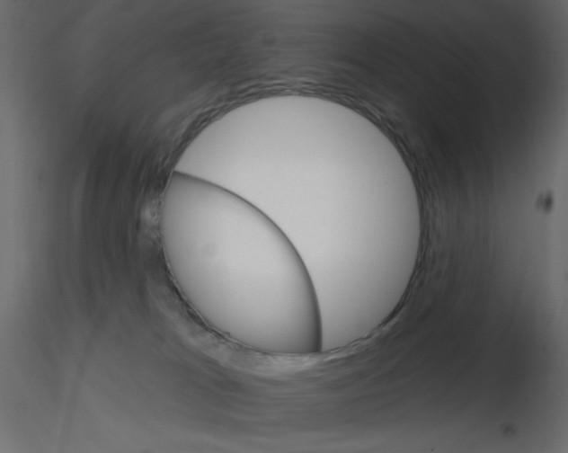 X0000115670037200912241429