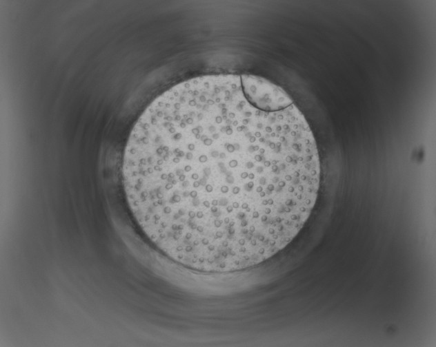 X0000115670038200912241429