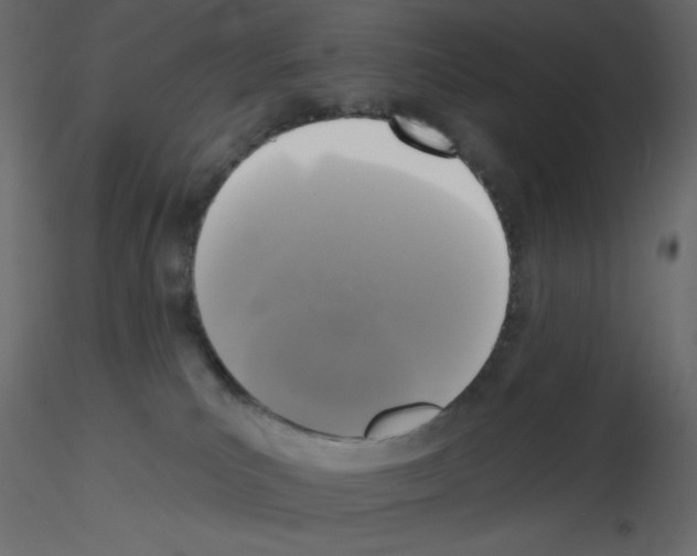 X0000115670039200912241429