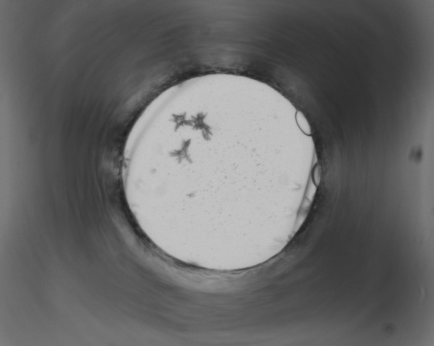 X0000115670040200912241429