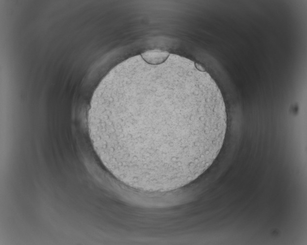 X0000115670042200912241429