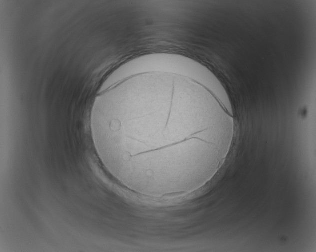 X0000115670043200912241429