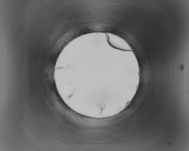 X0000115670044200912241429