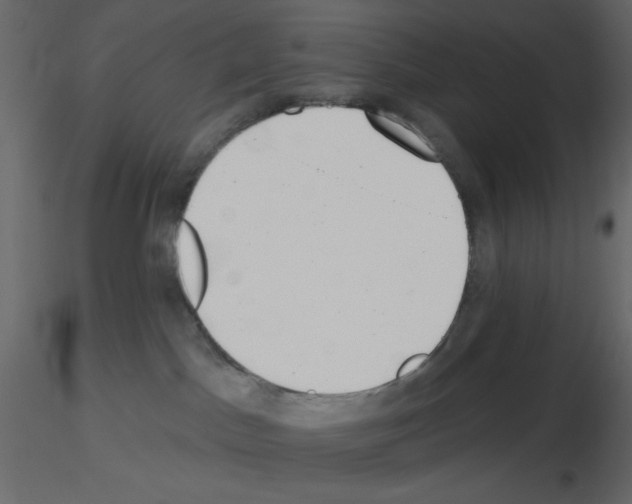 X0000115670045200912241429