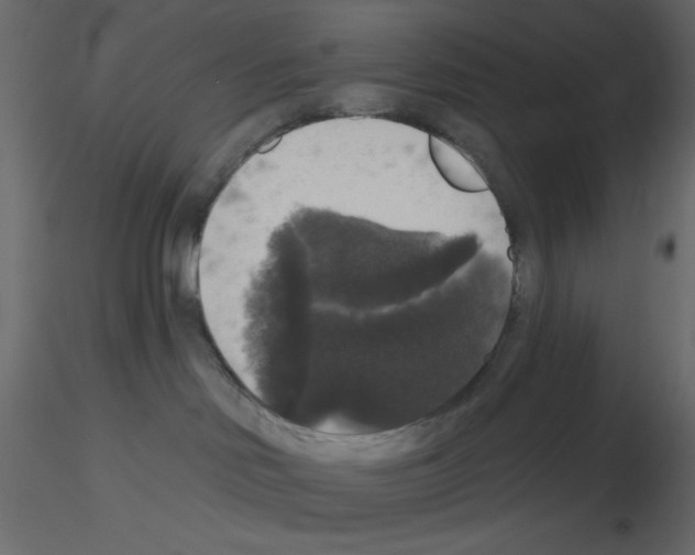 X0000115670046200912241429