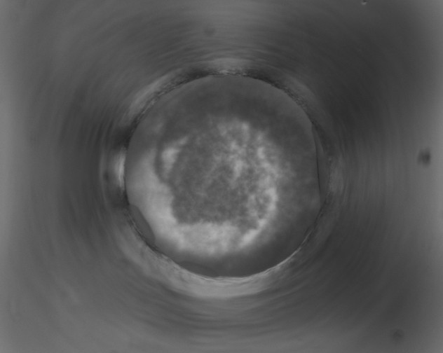 X0000115670047200912241429