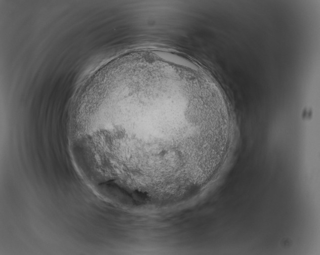 X0000115670049200912241428