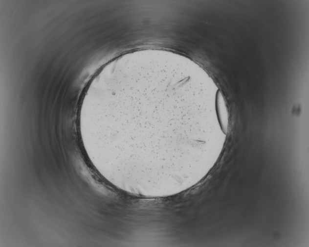 X0000115670050200912241428