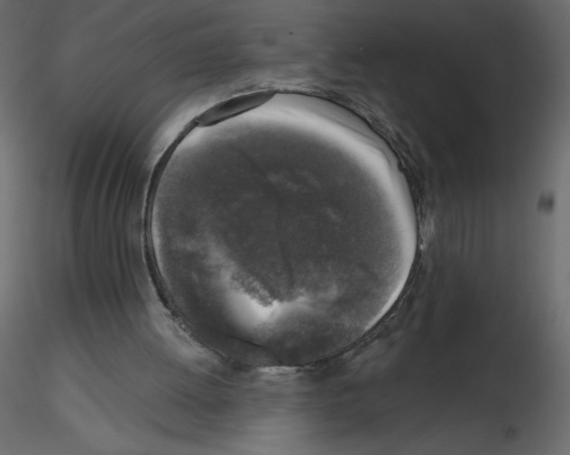 X0000115670052200912241428