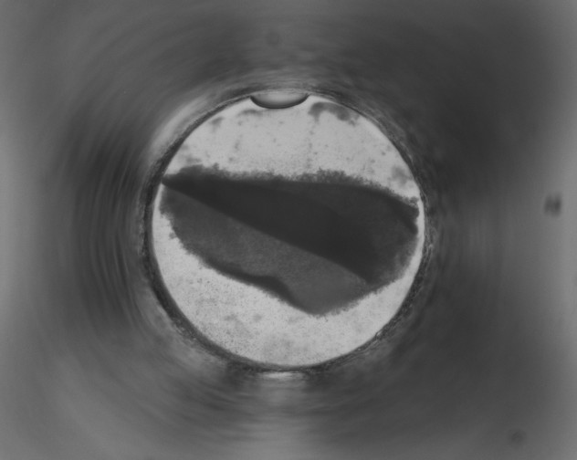 X0000115670053200912241428