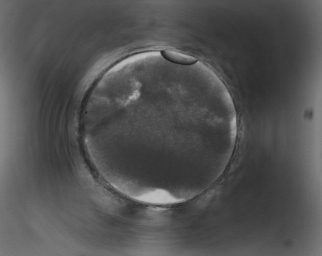 X0000115670055200912241428