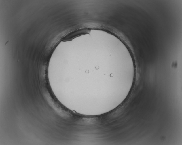 X0000115670057200912241428