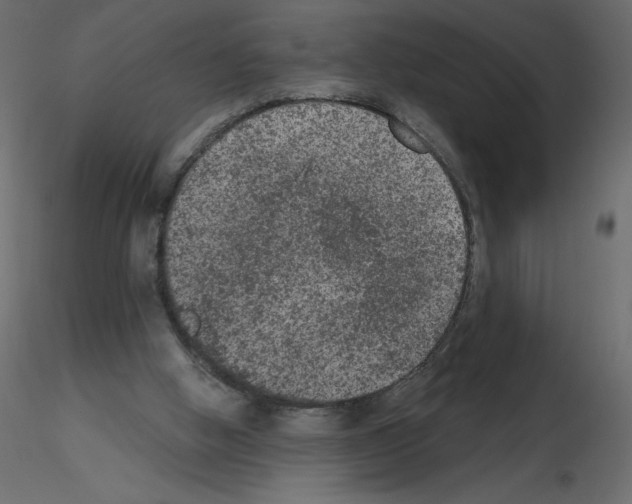 X0000115670058200912241428