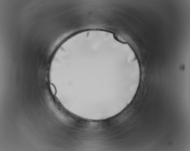 X0000115670060200912241428