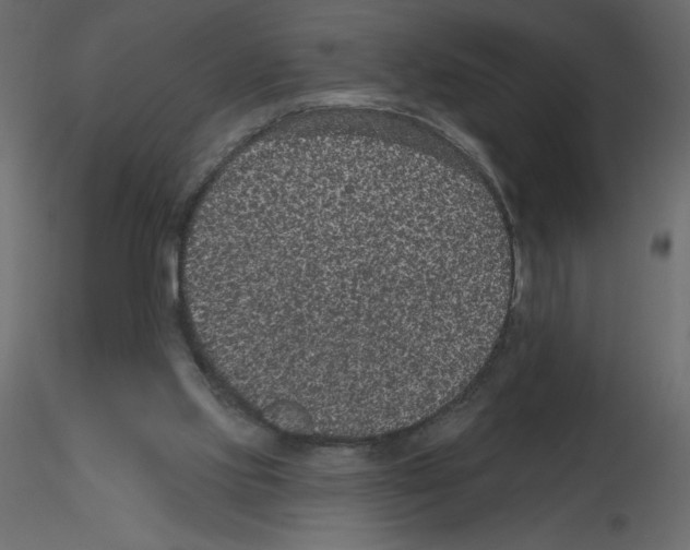 X0000115670061200912241428