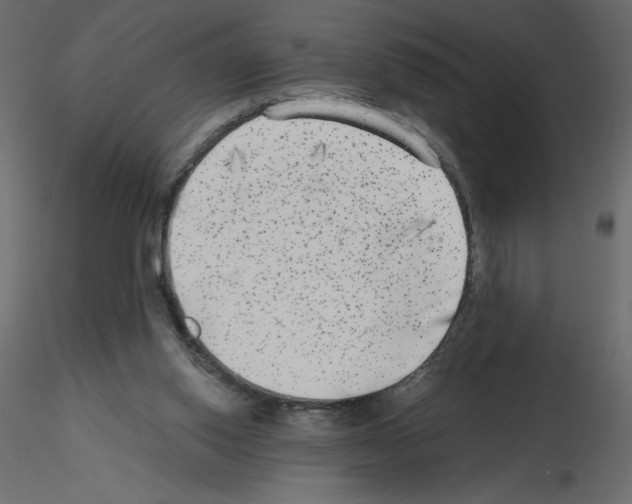 X0000115670062200912241428