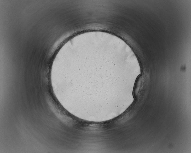 X0000115670064200912241428