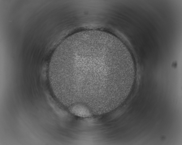 X0000115670065200912241428